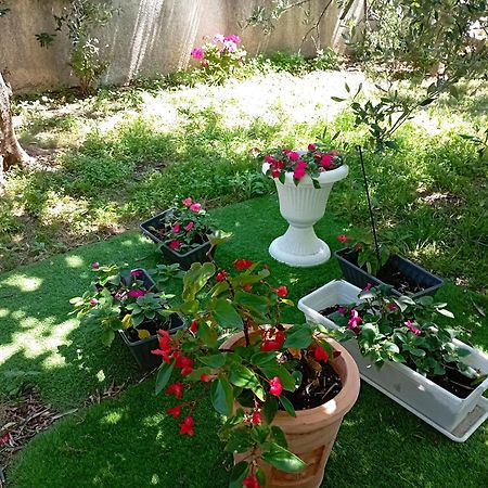 Apartmani Trubi 3 Vodice Exteriér fotografie