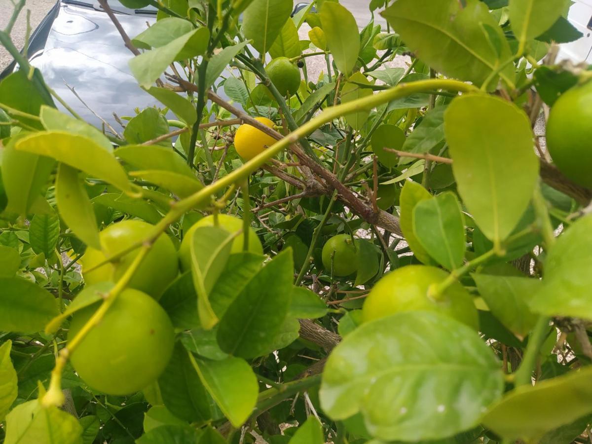 Apartmani Trubi 3 Vodice Exteriér fotografie