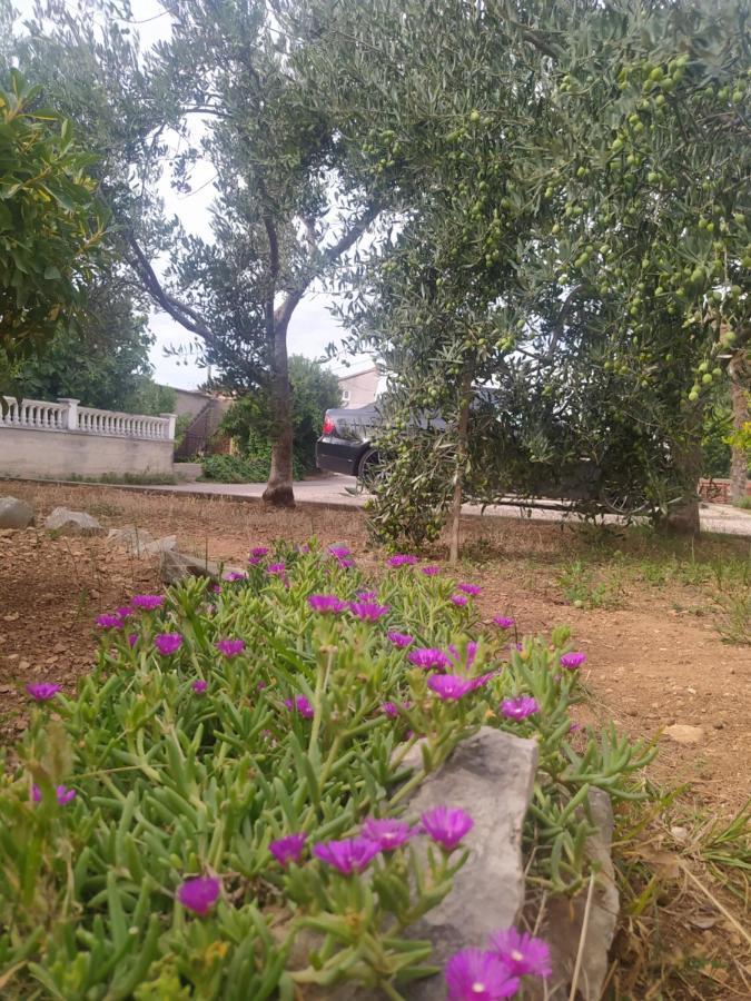 Apartmani Trubi 3 Vodice Exteriér fotografie
