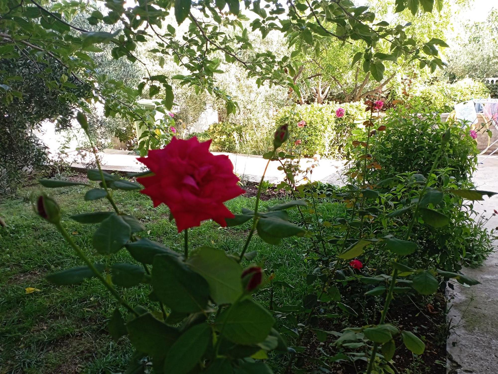 Apartmani Trubi 3 Vodice Exteriér fotografie