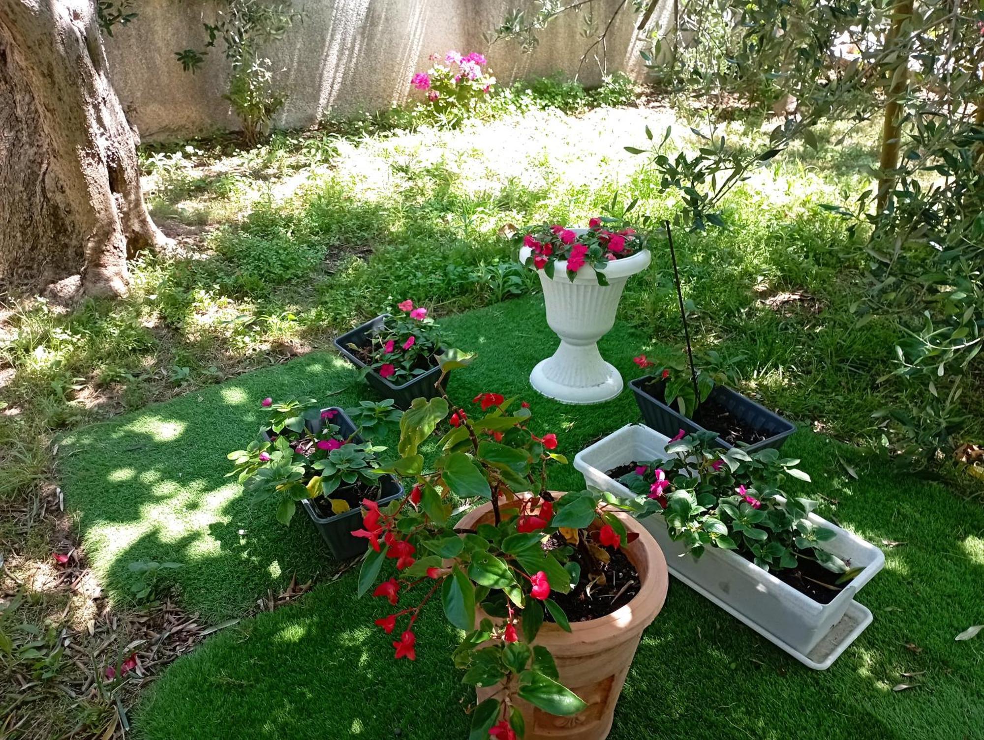 Apartmani Trubi 3 Vodice Exteriér fotografie